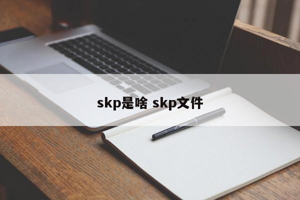 skp是啥 skp文件