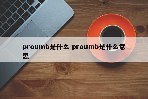 proumb是什么 proumb是什么意思