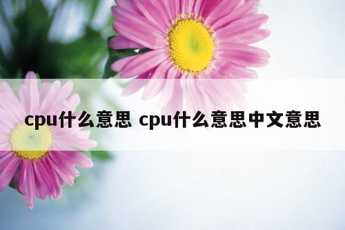 cpu什么意思 cpu什么意思中文意思