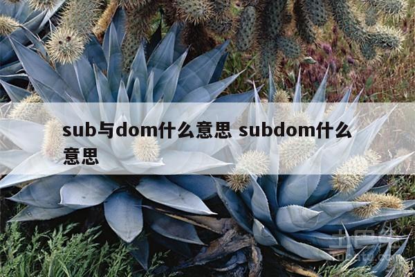 sub与dom什么意思 subdom什么意思