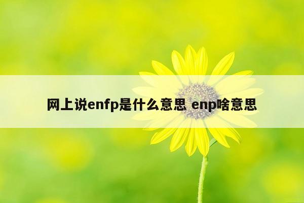 网上说enfp是什么意思 enp啥意思