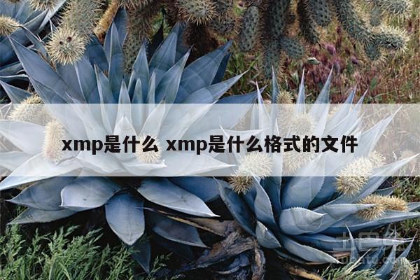 xmp是什么 xmp是什么格式的文件