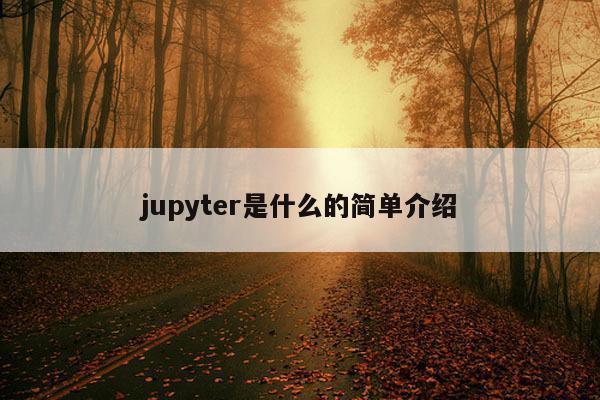 jupyter是什么的简单介绍