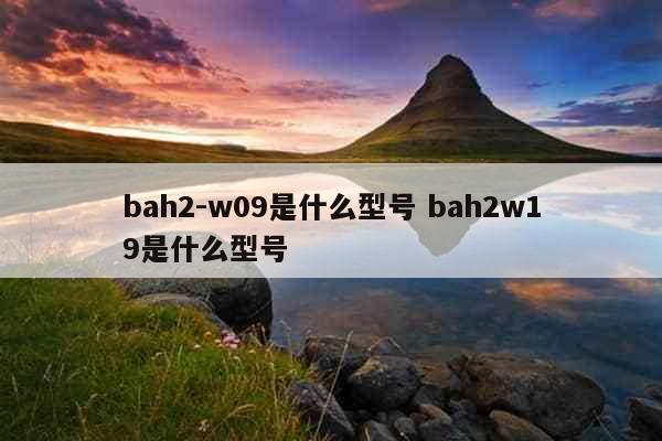 bah2-w09是什么型号 bah2w19是什么型号