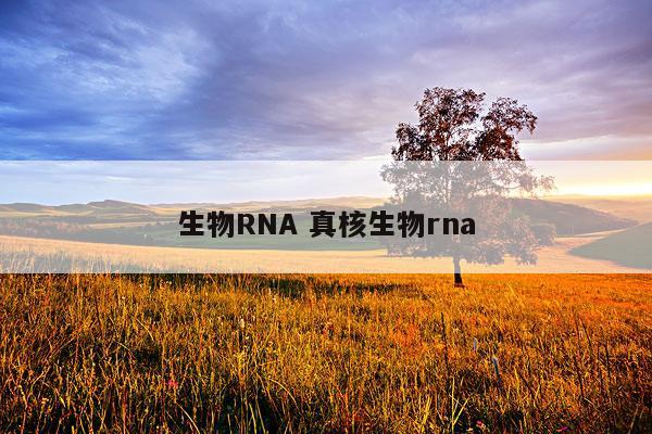 生物RNA 真核生物rna