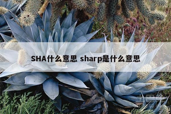 SHA什么意思 sharp是什么意思