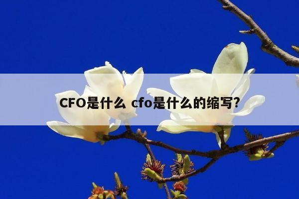 CFO是什么 cfo是什么的缩写?