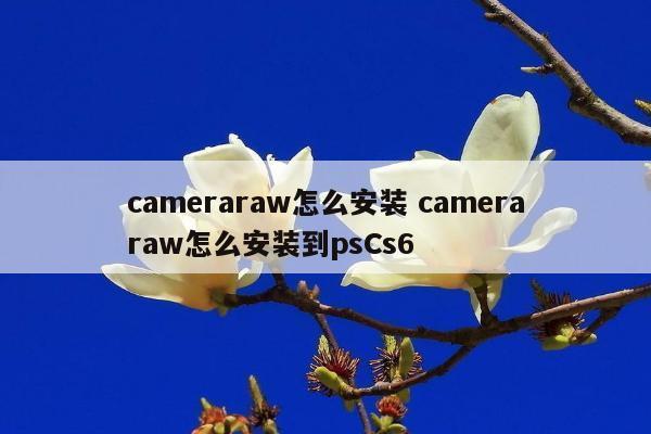 cameraraw怎么安装 cameraraw怎么安装到psCs6