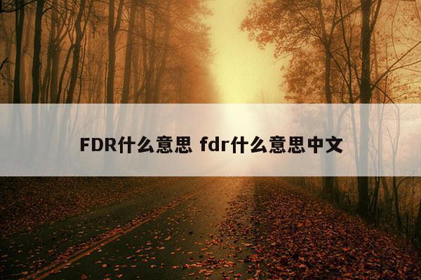 FDR什么意思 fdr什么意思中文