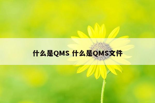 什么是QMS 什么是QMS文件