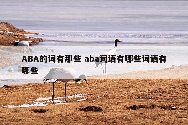 ABA的词有那些 aba词语有哪些词语有哪些
