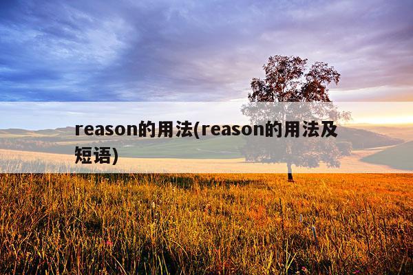 reason的用法(reason的用法及短语)