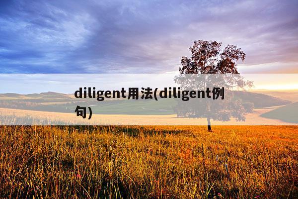 diligent用法(diligent例句)