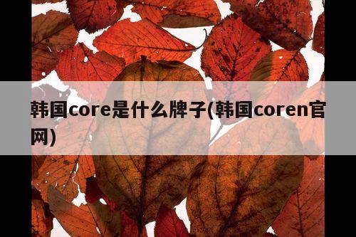 韩国core是什么牌子(韩国coren官网)