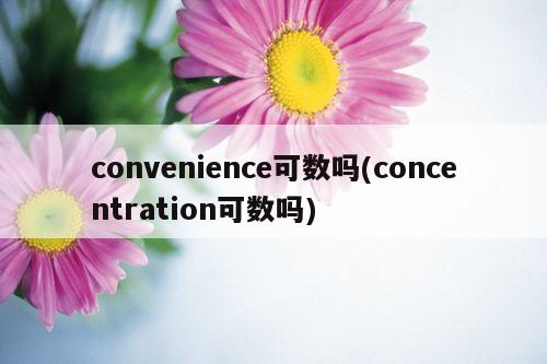 convenience可数吗(concentration可数吗)