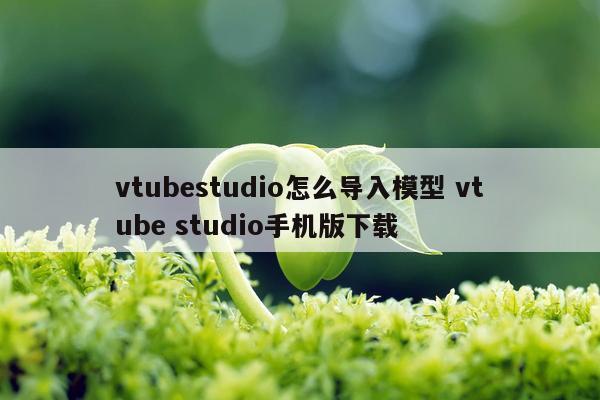 vtubestudio怎么导入模型 vtube studio手机版下载