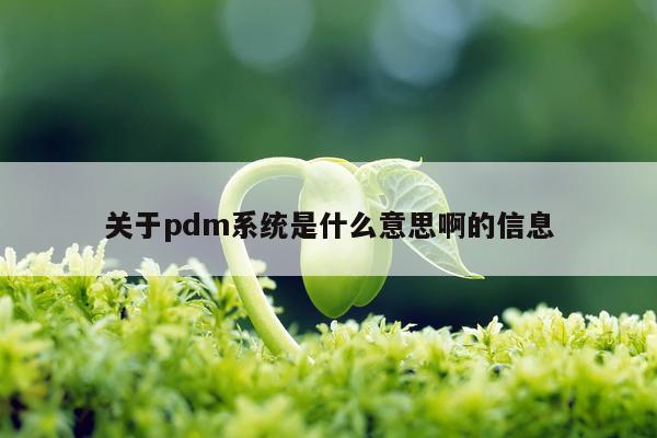 关于pdm系统是什么意思啊的信息