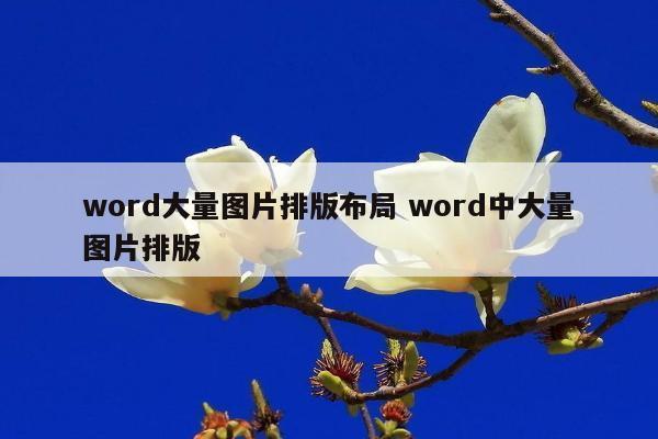 word大量图片排版布局 word中大量图片排版