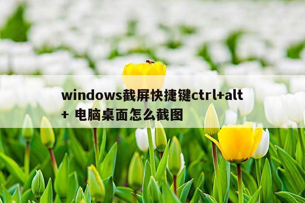 windows截屏快捷键ctrl+alt+ 电脑桌面怎么截图