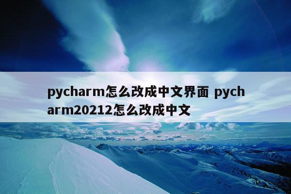 pycharm怎么改成中文界面 pycharm20212怎么改成中文
