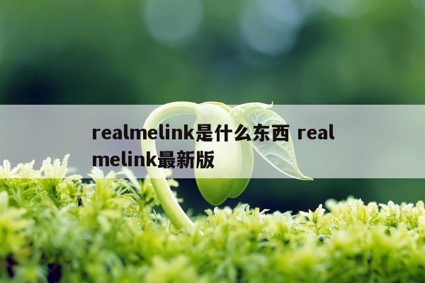 realmelink是什么东西 realmelink最新版