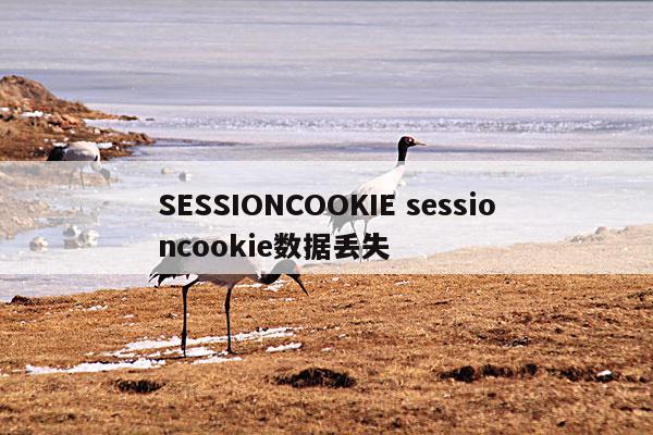 SESSIONCOOKIE sessioncookie数据丢失