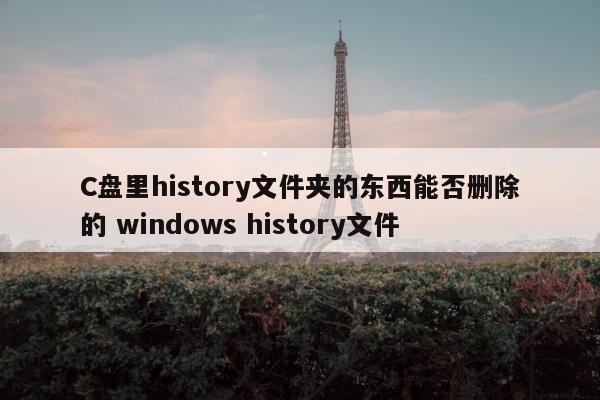 C盘里history文件夹的东西能否删除的 windows history文件