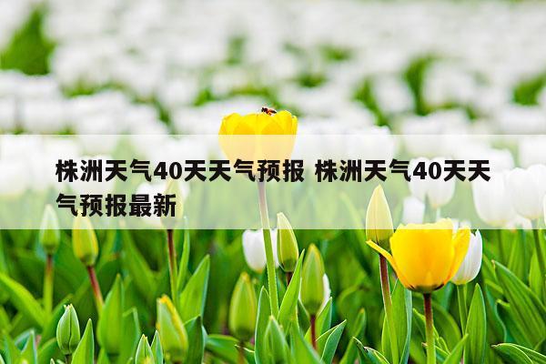 株洲天气40天天气预报 株洲天气40天天气预报最新