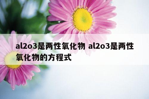 al2o3是两性氧化物 al2o3是两性氧化物的方程式