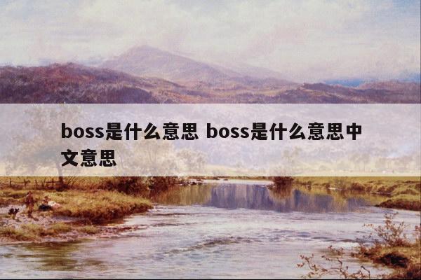 boss是什么意思 boss是什么意思中文意思