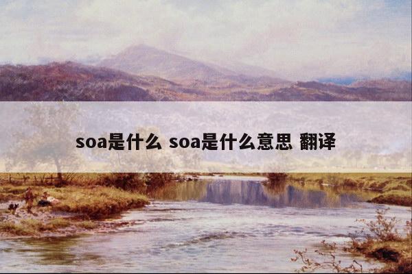 soa是什么 soa是什么意思 翻译