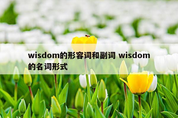 wisdom的形容词和副词 wisdom的名词形式