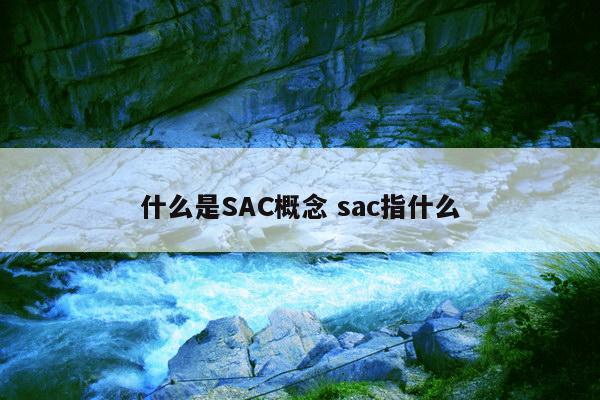 什么是SAC概念 sac指什么